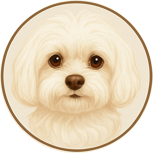 Maison de Chloé Logo